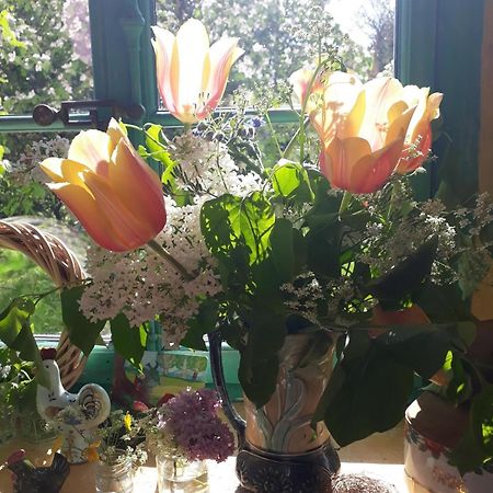 Chez Cathy Bed & Breakfast Arzier Екстериор снимка