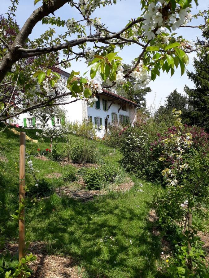 Chez Cathy Bed & Breakfast Arzier Екстериор снимка