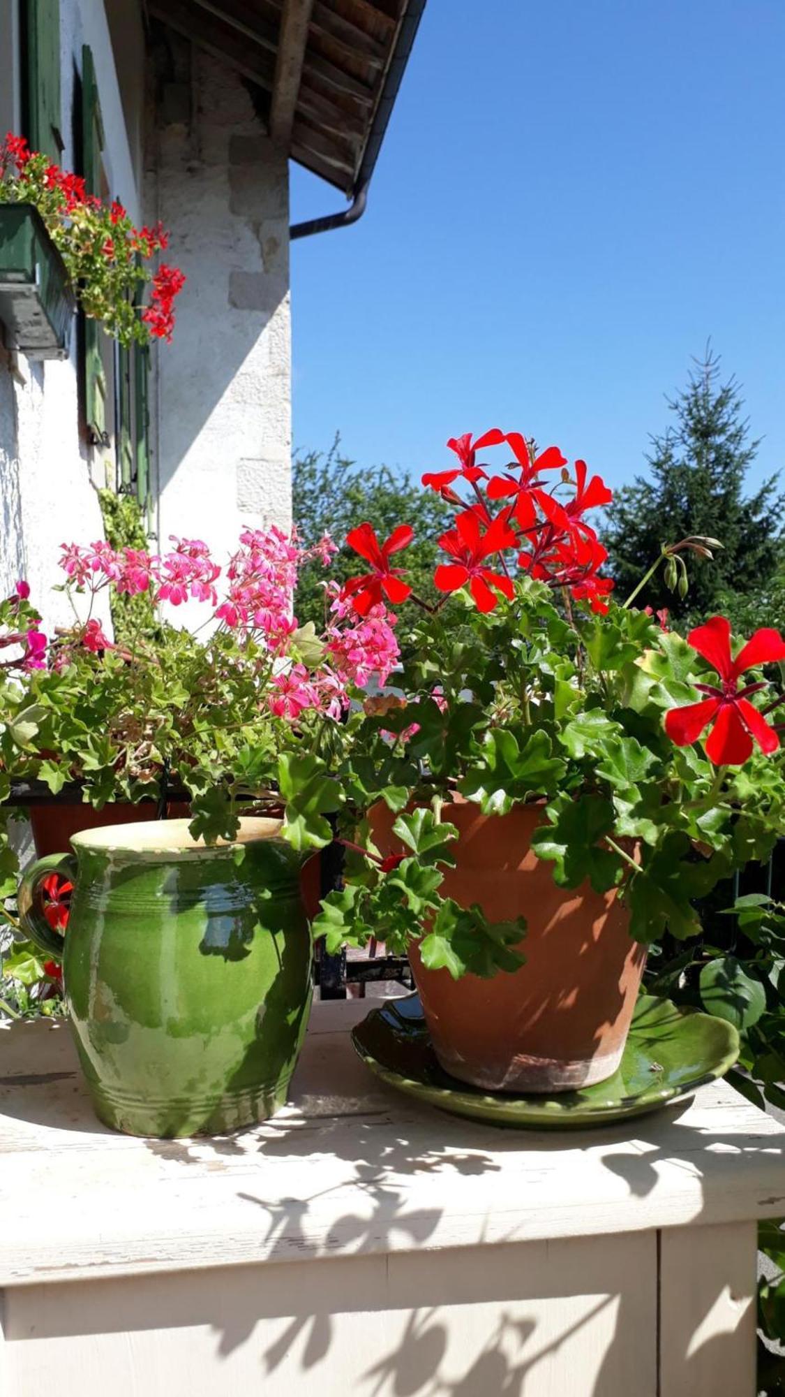Chez Cathy Bed & Breakfast Arzier Екстериор снимка